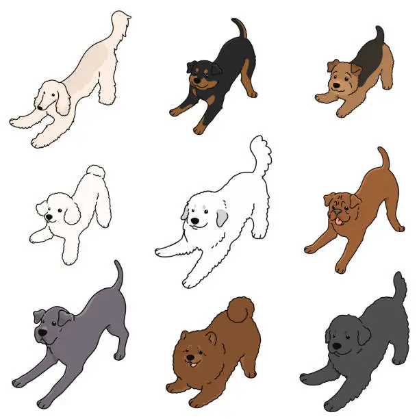 Vector illustration of Simple and cute playful dogs illustrations set