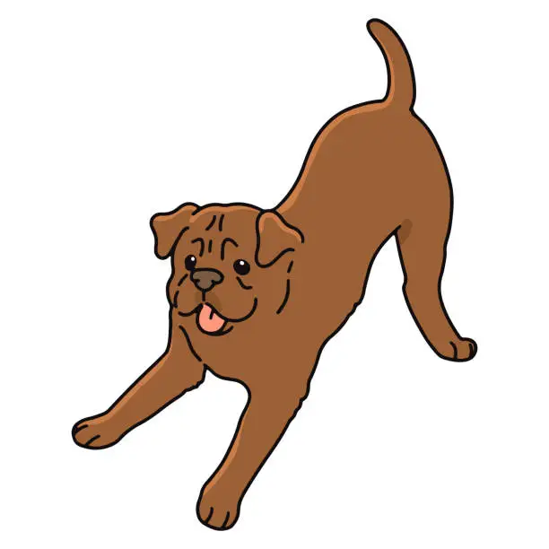 Vector illustration of Simple and cute playful French Mastiff illustration