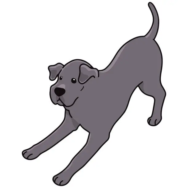 Vector illustration of Simple and cute playful Great Dane illustration