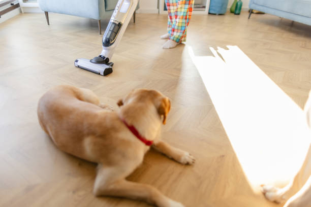 istock Young woman vacuuming living room 2000288401