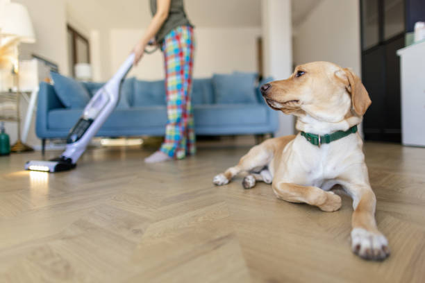 istock Young woman vacuuming living room 2000288907
