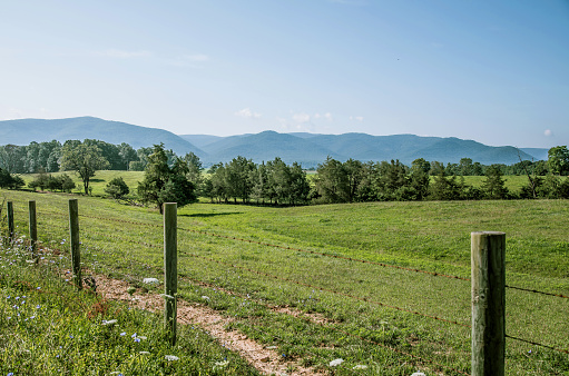 Against the backdrop of Virginia's sprawling fields and majestic mountains, barbed wire fences weaves a rugged yet poignant narrative of land division and pastoral heritage.