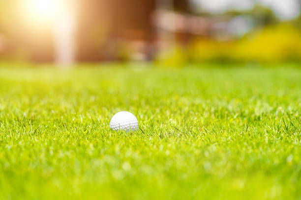 golf ball and tee on green grass