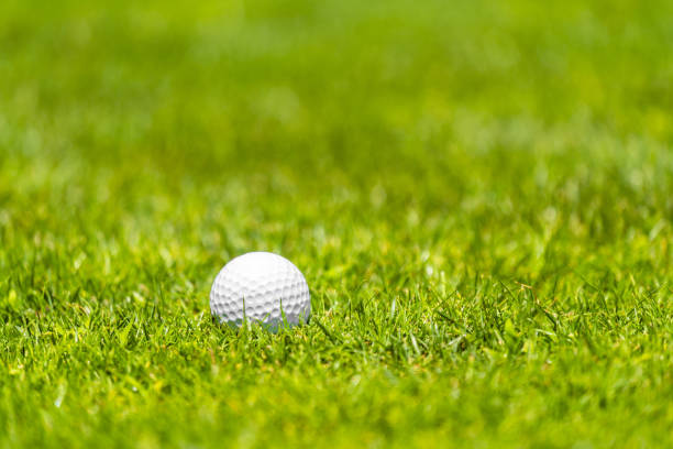 istock Golf ball on the green grass on a golf course on sunny day 2000326743