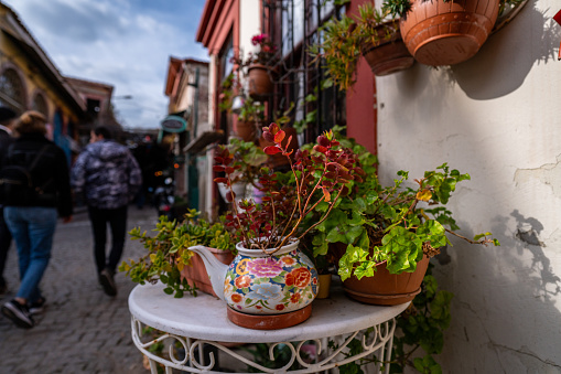 herbs are in vase on table at street focus on foreground street is background horizontal travel still, ayvalık, balıkesir, turkey