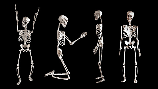 Human skeletons set isolated on black background