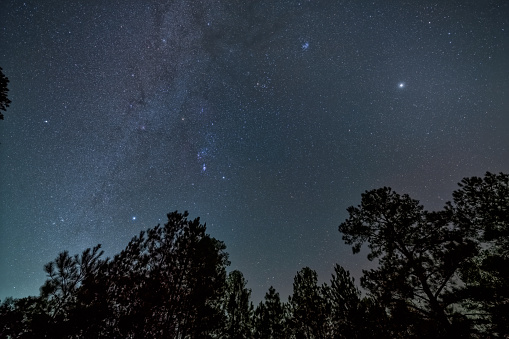 Beautiful starry night sky in a remote location of the southeast US. Captured in winter as you can spot the Orion constellation.