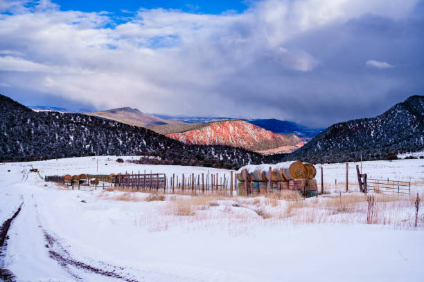 Scenic Rural Ranch Scene with Hay Bales and Livestock - Mountain valley with scenic mountains in ranching community.