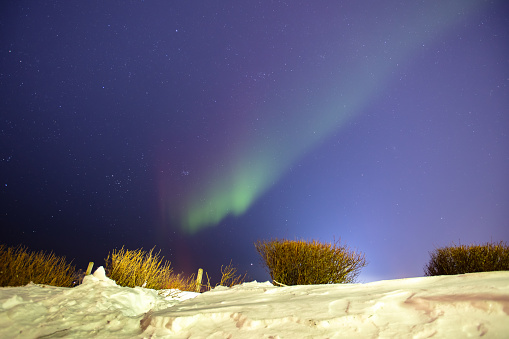 Northern lights on backyard.\nHammerfast - Norway.