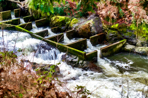 A fish ladder on the Deschutes River in Tumwater, Washington.