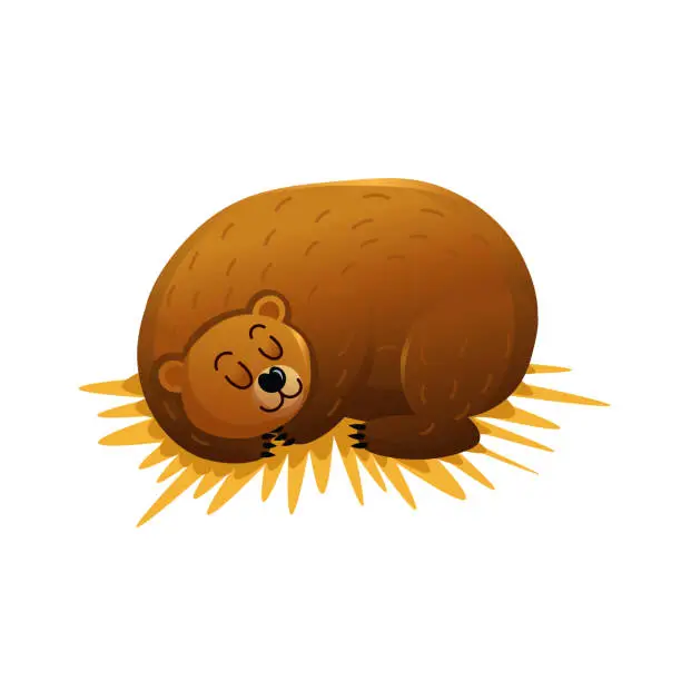 Vector illustration of Bear sleeps in a den in winter.  Cute cartoon illustration for kids of  bear.
