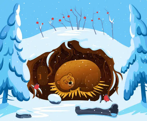 Vector illustration of Bear sleeps in a den in winter.  Cute cartoon illustration for kids of  bear.
