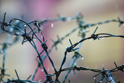 Close-up photo of barbed wire under pouring rainwater during the day