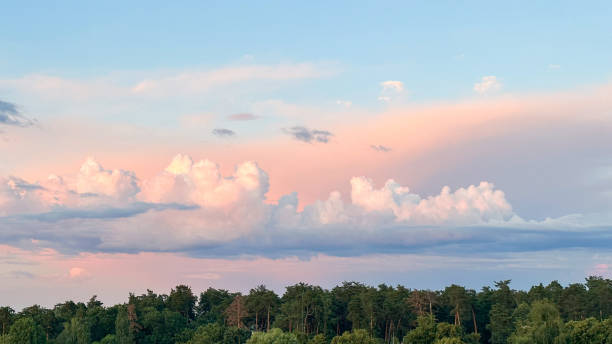 istock Tranquil pine forest with sky and remnants of sunset, perfect for relaxation and nature concepts. 2000653414