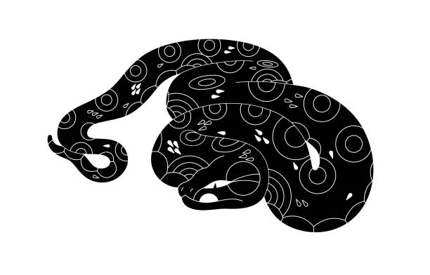 schwarze schlange mit gemusterter hautlinienkunst. giftige, gekräuselte vipernsilhouette. monochrome schlange mit geometrischen formen auf ornamentierter schuppe. giftiges tier. flache isolierte vektorillustration auf weiß - snake white curled up animal stock-grafiken, -clipart, -cartoons und -symbole