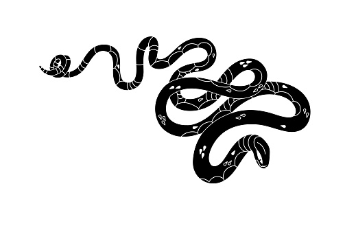 Monochrome snake line art. Black serpent with patterned scale. Slender long venomous viper silhouette. Cold blooded animal, mystic reptile print. Flat isolated vector illustration on white background.