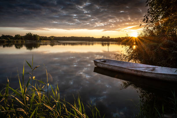 A boat moored in a lake, at a green tree at sunset