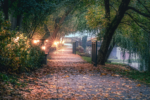 Scenic view of a pathway lined with streetlamps and autumn trees in a park