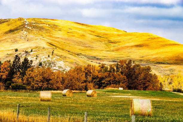 istock Fall drive through Cardston County in the deep south of Alberta, Canada 2000667992