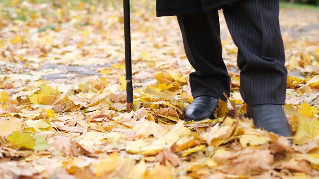 An old grandfather walks through an autumn park, a feeling of loneliness, deep melancholy. Close up