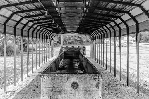 Black and white image of a barbecue pit covered by a metal room at a local park in Virginia is quiet, awaiting its next event.