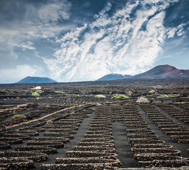 istock large vineyards near volcanic mountains 2000857601