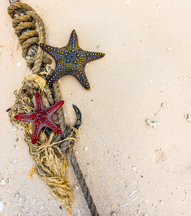 red and black starfish with knot and anchor on a seashore sand