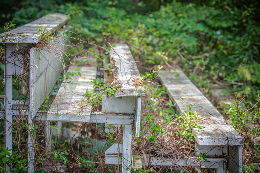 A set of abandoned bleachers are being consumed by weeds.
