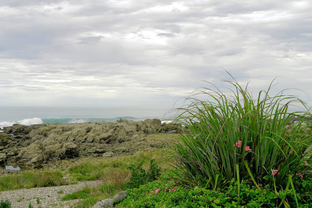 Seascape taken traversing the coastline close by Kaikoura. It  is a coastal town on the South Island of New Zealand. It’s known for its abundant wildlife and its sperm whale population. The Kaikoura Peninsula Walkway winds from the town center to lookout points at Point Kean. Close by, the rock platforms are home to a colony of New Zealand fur seals.