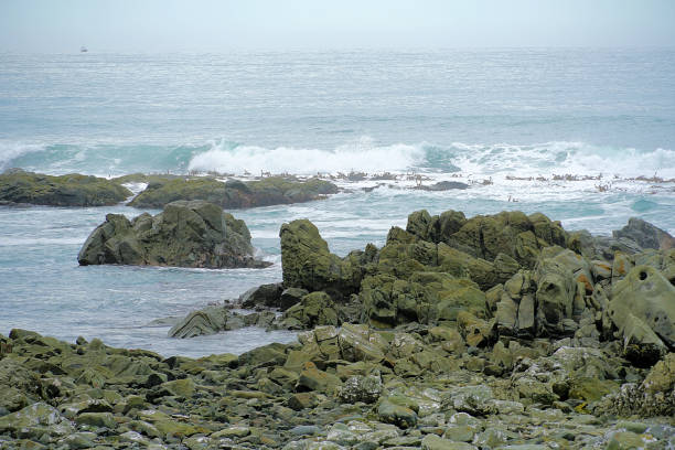 istock New Zealand South Island 2000894180