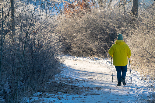Person in yellow jacket walking with hiking poles on a snowy path