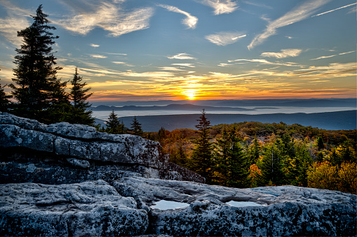 Dolly Sods Wilderness, WV, at dawn