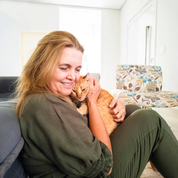 istock Woman and his ginger cat at home. 2001007803