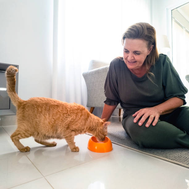 istock Woman and his ginger cat at home. 2001008787