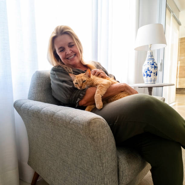 istock Woman and his ginger cat at home. 2001010354