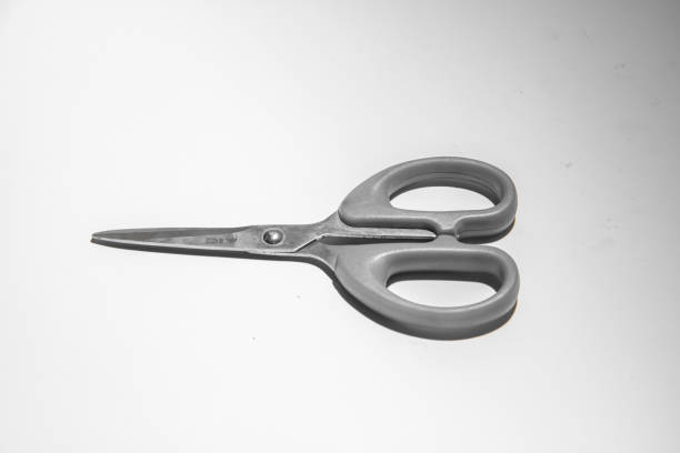 Large Stainless Steel Paper Scissors Scissors