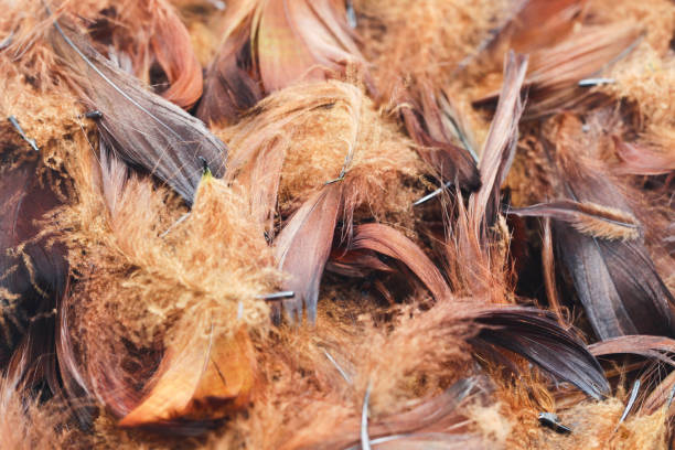 istock Feathers background. Artificial decorative feathers texture. Soft cotton background. Fluffy bird feather. Various shapes. 2001156247