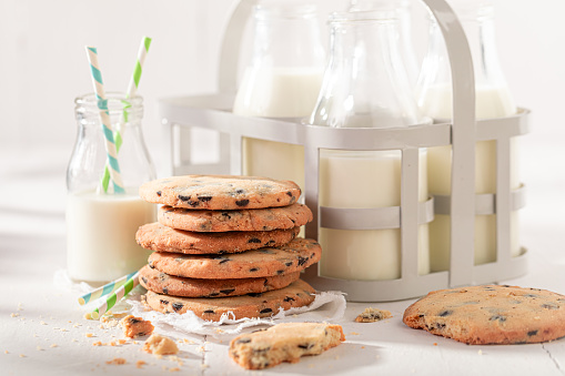 Sweet and crunchy vanilla cookies with chocolate chips. Vanilla cookies best taste with milk.