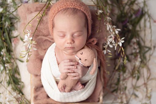 Cute 22 days-old baby girl sleeping comfortable in a box - Buenos Aires - Argentina