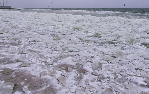 Round and pancaked ice near the shore of the frozen Black Sea, harsh winter of 2011