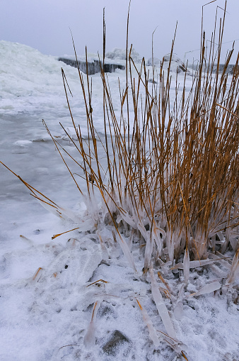 The harsh winter of 2011, the frozen Black Sea, the whole shore is covered with ice