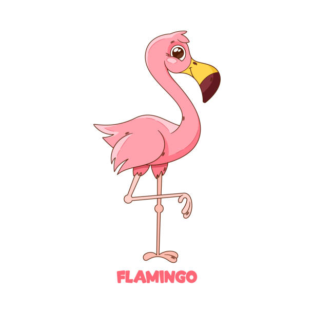 5,500+ Flamingo Eye Stock Photos, Pictures & Royalty-Free Images