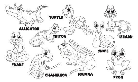 Cartoon Reptile Characters Isolated Vector Monochrome Outline Icons Set. Alligator, Turtle, Snail and Snake, Triton, Chameleon, Iguana and Frog with Lizard Cute And Funny Personages Illustrations