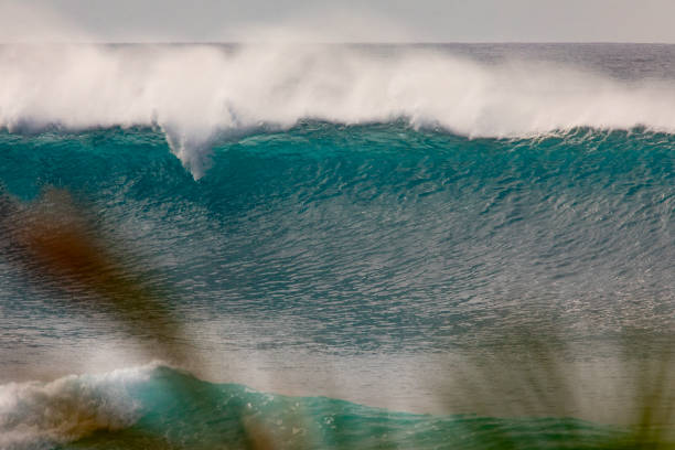 Surf in Carmel-by-the-Sea, California