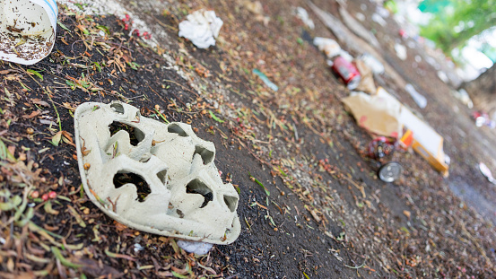 Litter strewn across the ground portrays a neglected path, urging environmental awareness.