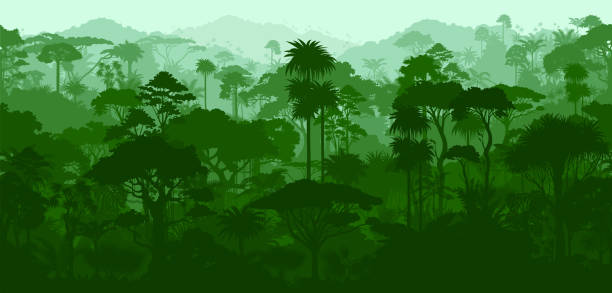 illustrations, cliparts, dessins animés et icônes de fond de forêt tropicale tropicale sans couture de vecteur horizontal de forêt tropicale sans couture - forêt pluviale