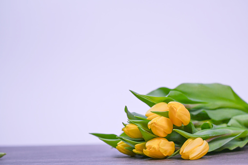 Yellow tulips. Spring storytelling. Tulip bouquet. Greeting card. For Mothers Day, international women’s day, birthday.