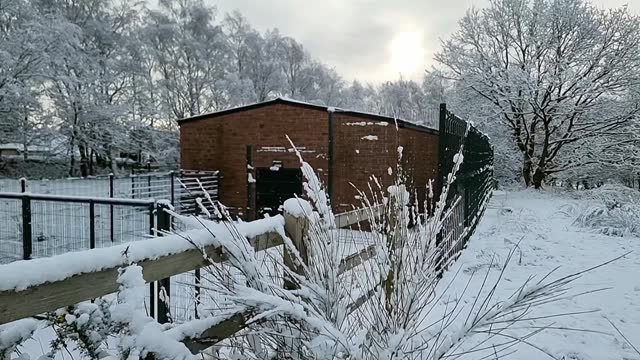 Snowy brick farmhouse storage barn surrounded by secure metal fencing in rural countryside woodland