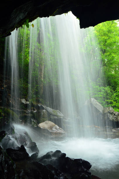 istock Grotto Falls in the Smokies 2001500699