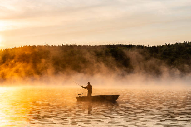 a senior man fishing at sunrise. - canada fotos stockfoto's en -beelden